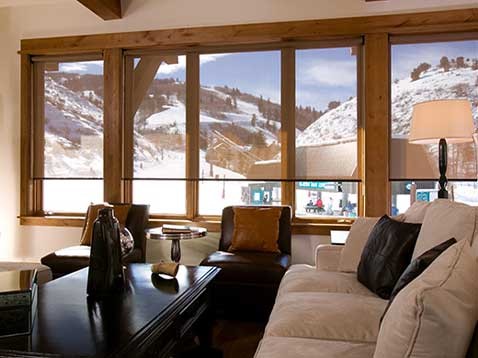 Rustic living room with a view of a snowy mountain